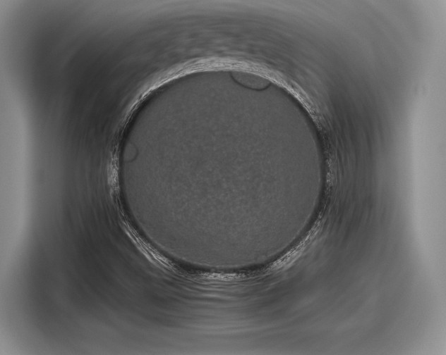 X0000116121499200911301316