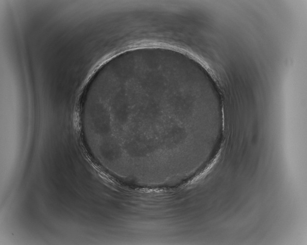 X0000116121501200911301316