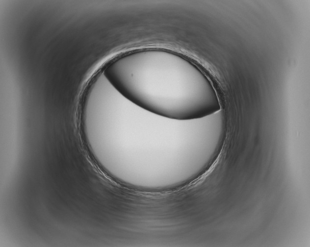 X0000116121502200911301316