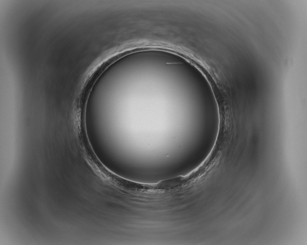 X0000116121503200911301316