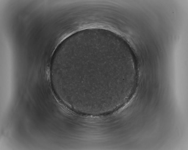 X0000116121505200911301316