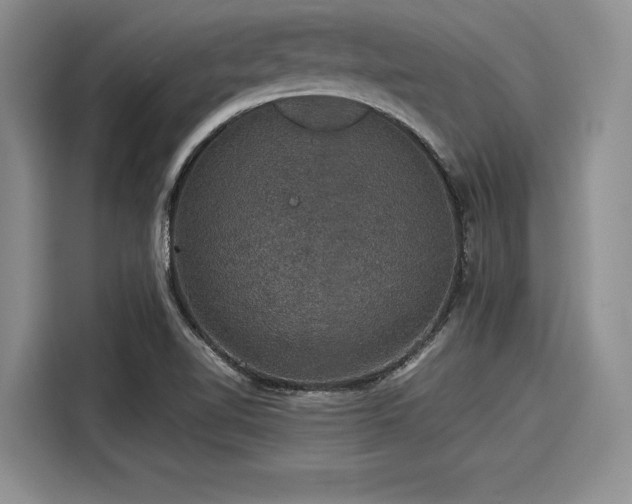 X0000116121510200911301317