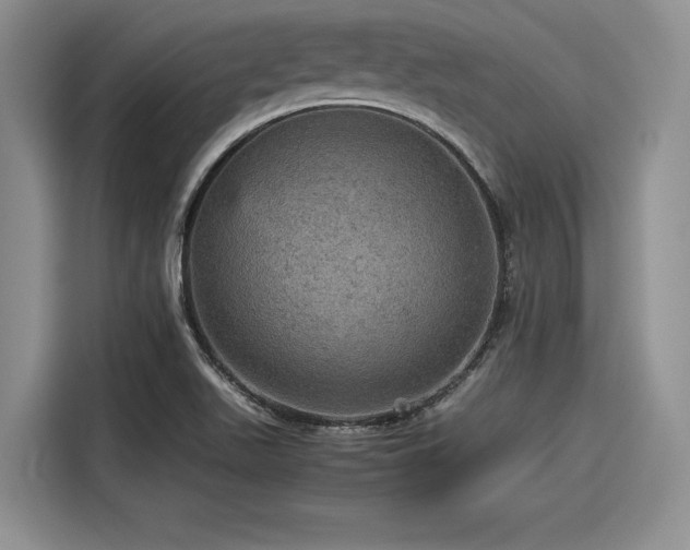 X0000116121511200911301317