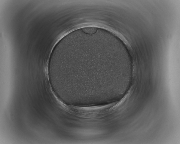 X0000116121513200911301317