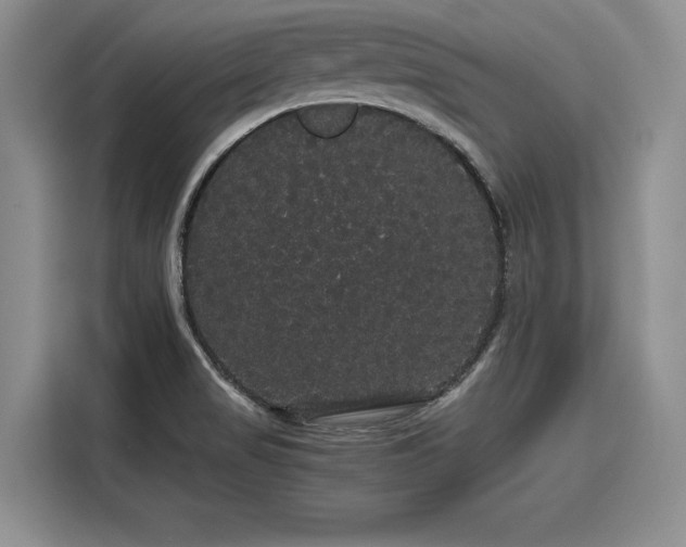 X0000116121517200911301317