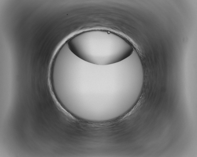 X0000116121518200911301317