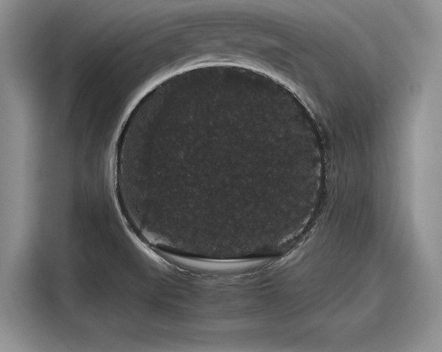 X0000116121519200911301317