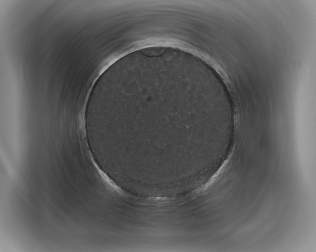 X0000116121521200911301317