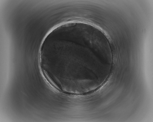 X0000116121522200911301317