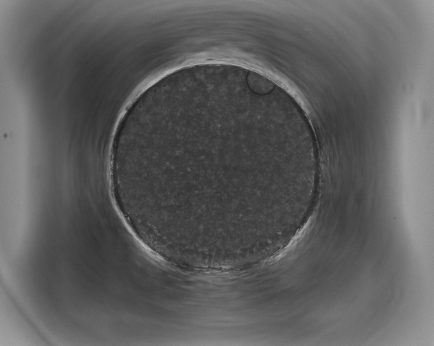 X0000116121525200911301317