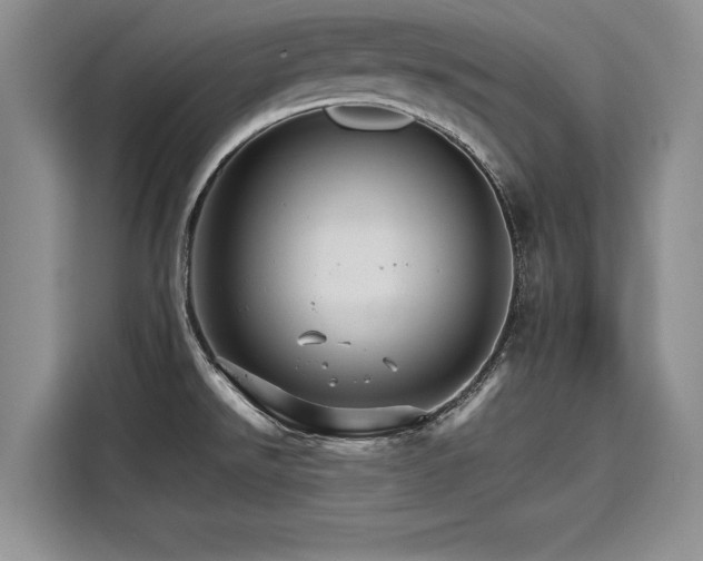 X0000116121526200911301317