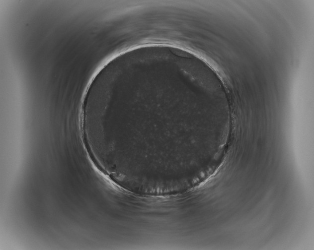 X0000116121527200911301317