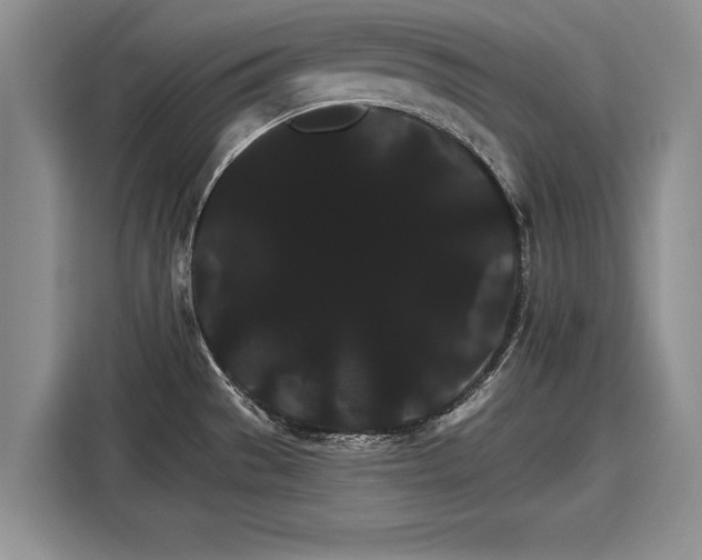 X0000116121529200911301317