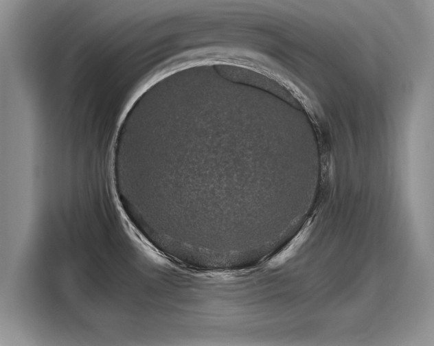 X0000116121530200911301317