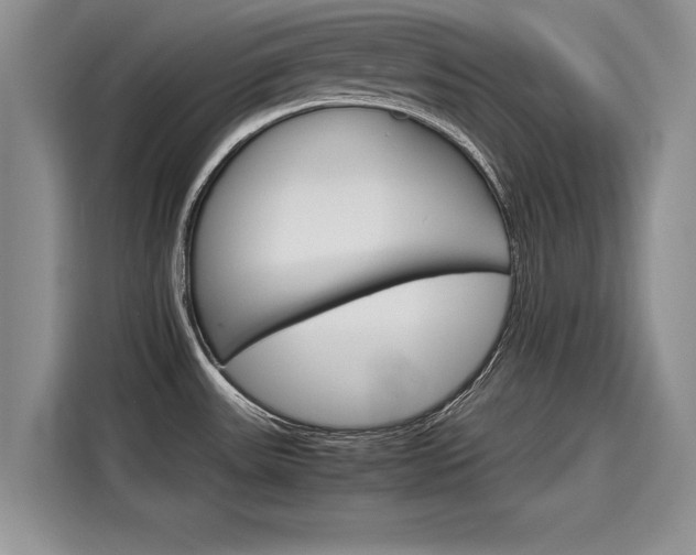 X0000116121531200911301317