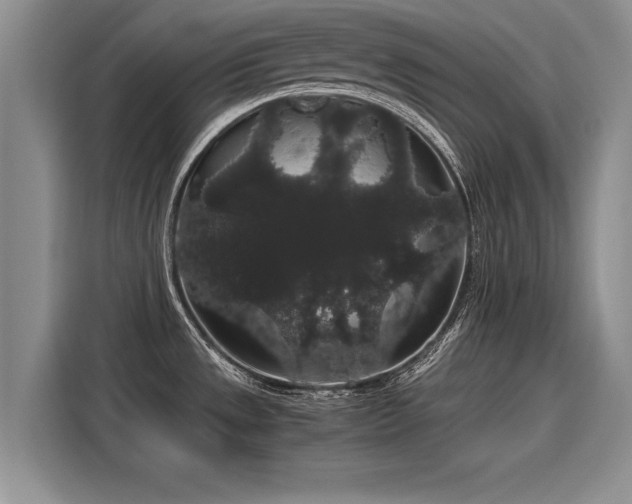 X0000116121533200911301317