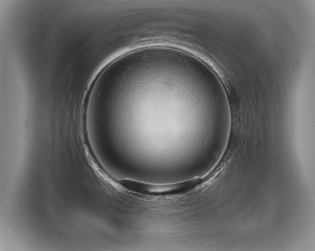 X0000116121534200911301317