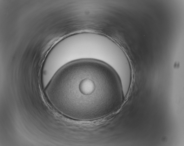 X0000116120001200912071357