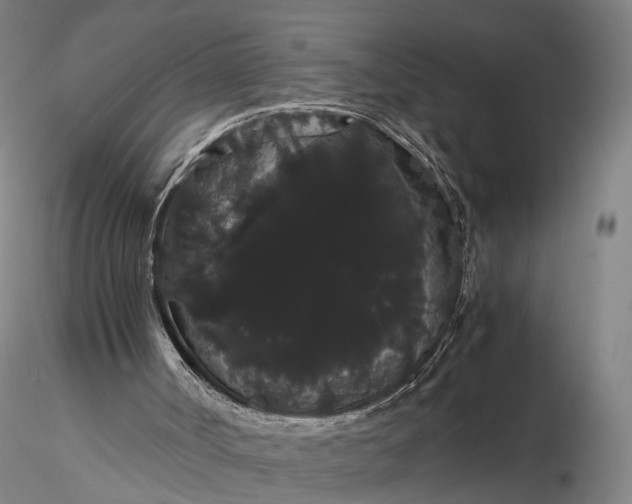 X0000116120002200912071357