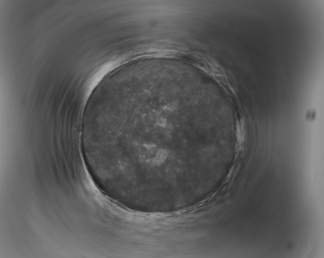 X0000116120003200912071357