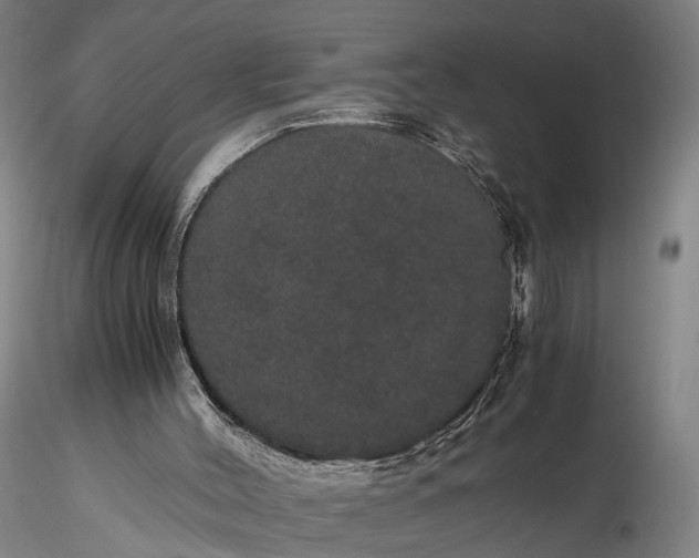 X0000116120004200912071357