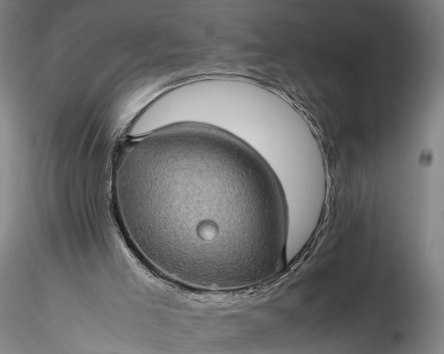 X0000116120005200912071357