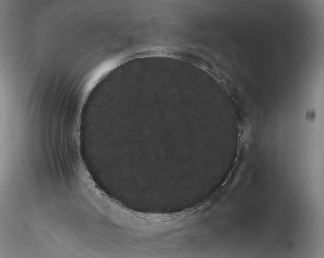 X0000116120006200912071357