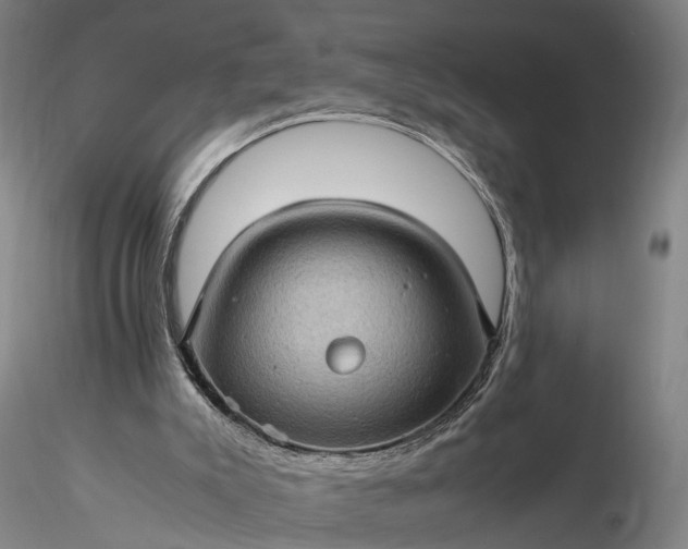 X0000116120007200912071357