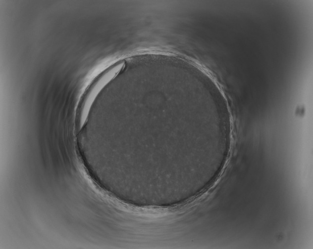 X0000116120008200912071357