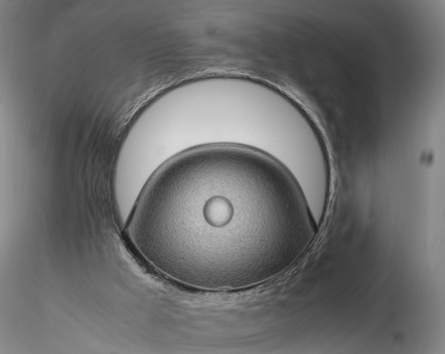 X0000116120009200912071357