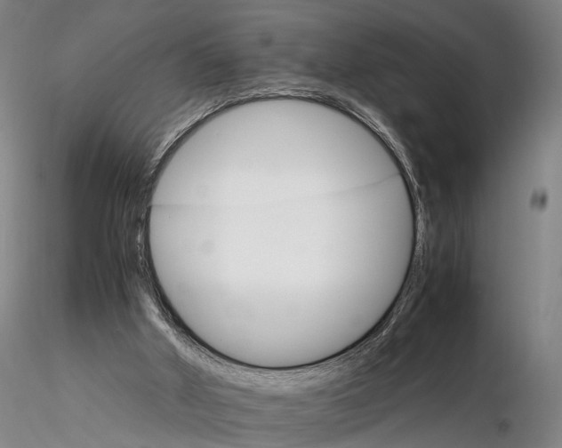 X0000116120010200912071357