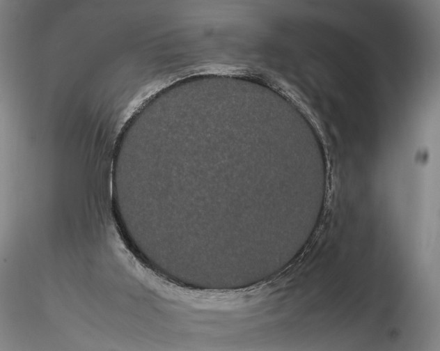 X0000116120011200912071357