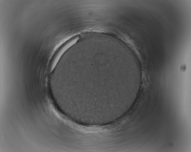 X0000116120012200912071357