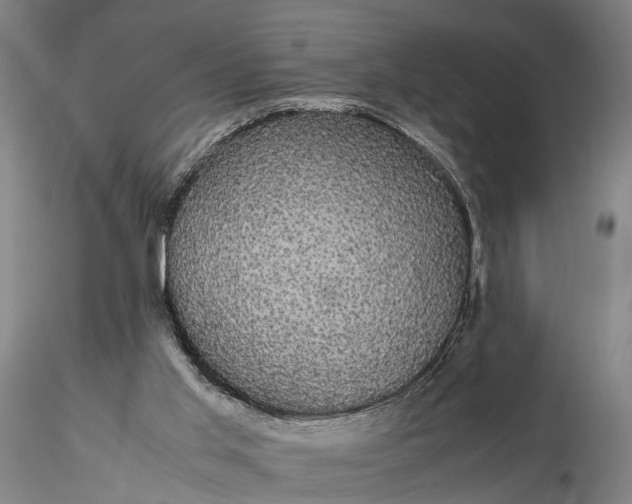 X0000116120013200912071357