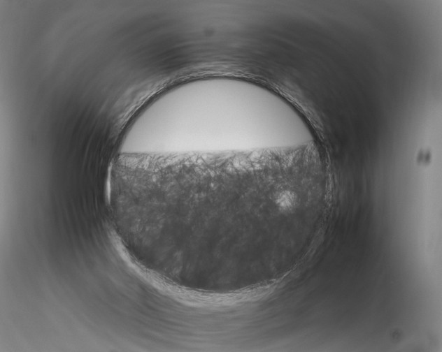 X0000116120014200912071357