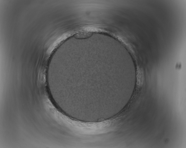 X0000116120015200912071357