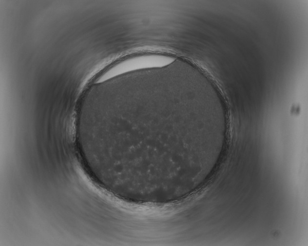 X0000116120016200912071357