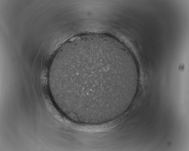 X0000116120017200912071357