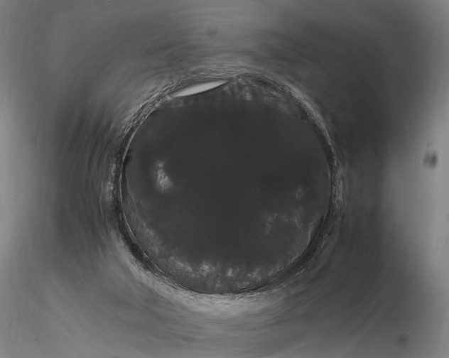 X0000116120018200912071357