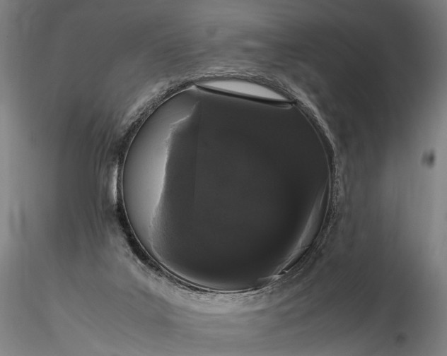 X0000116120019200912071357