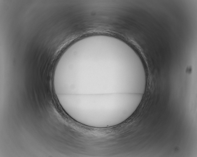 X0000116120020200912071357