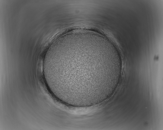 X0000116120021200912071357