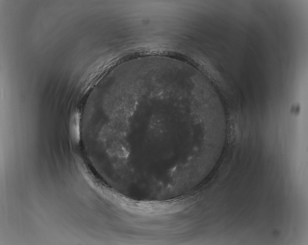 X0000116120022200912071357