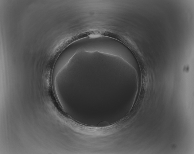 X0000116120023200912071356