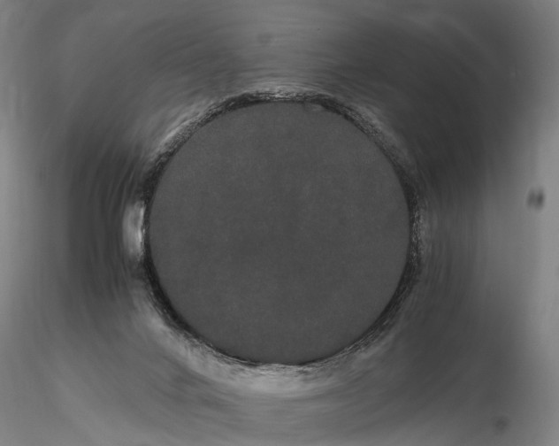 X0000116120024200912071356