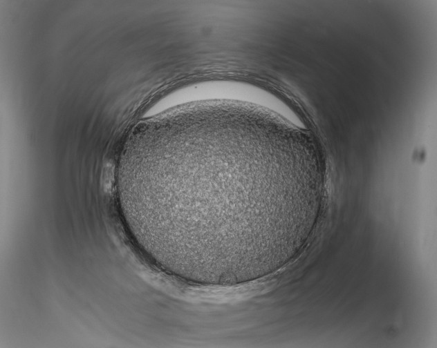 X0000116120025200912071356