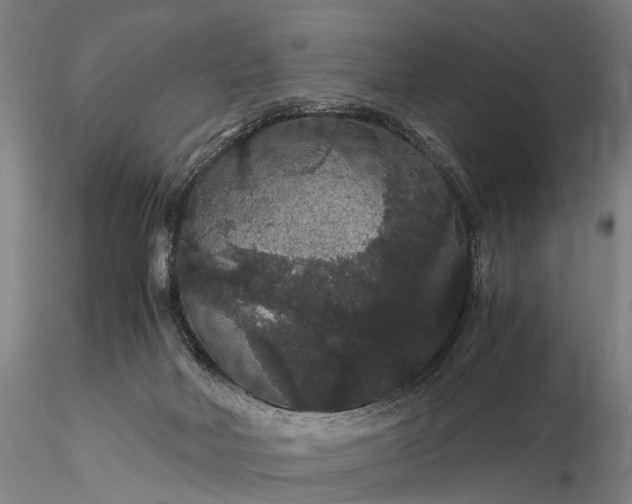 X0000116120026200912071356