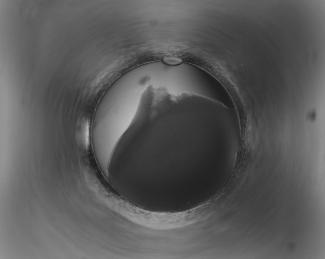 X0000116120027200912071356