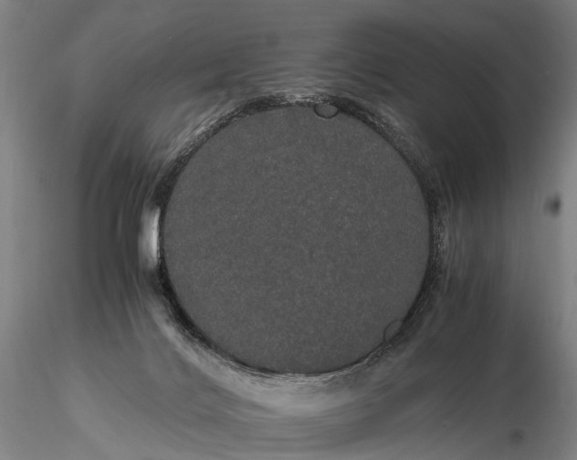 X0000116120028200912071356