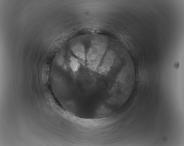 X0000116120030200912071356